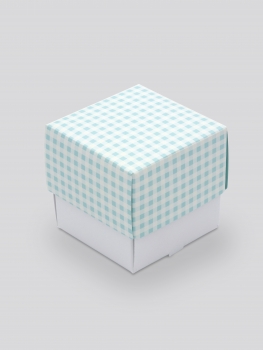 Geschenkbox kariert (mint)